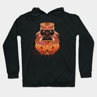 Tric or Treat with tiger costum Hoodie